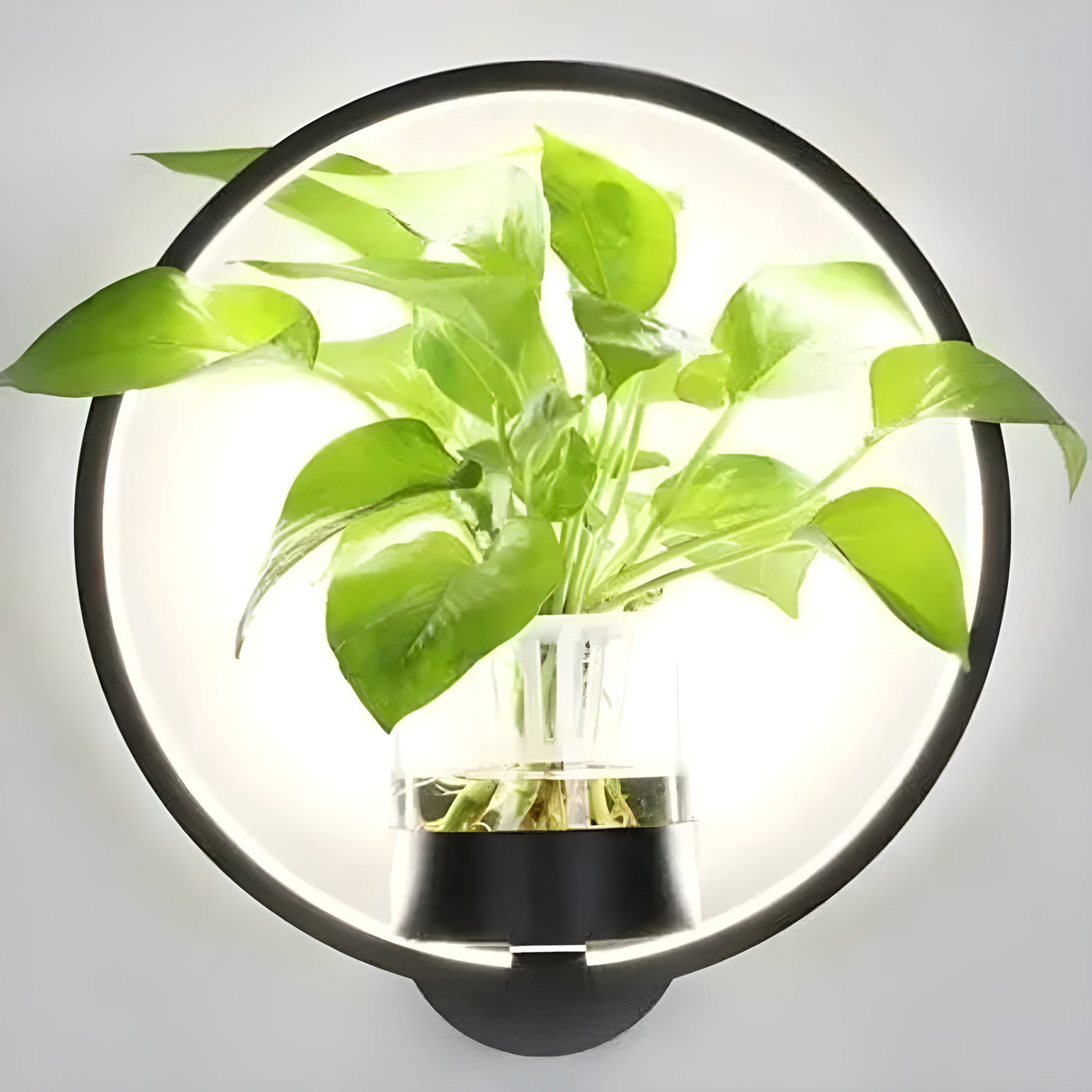 AisleBloom Light - Nordische Pflanzen-LED-Wandleuchte