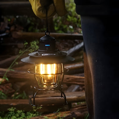 WildShine - Tragbare LED-Outdoor-Campingleuchte