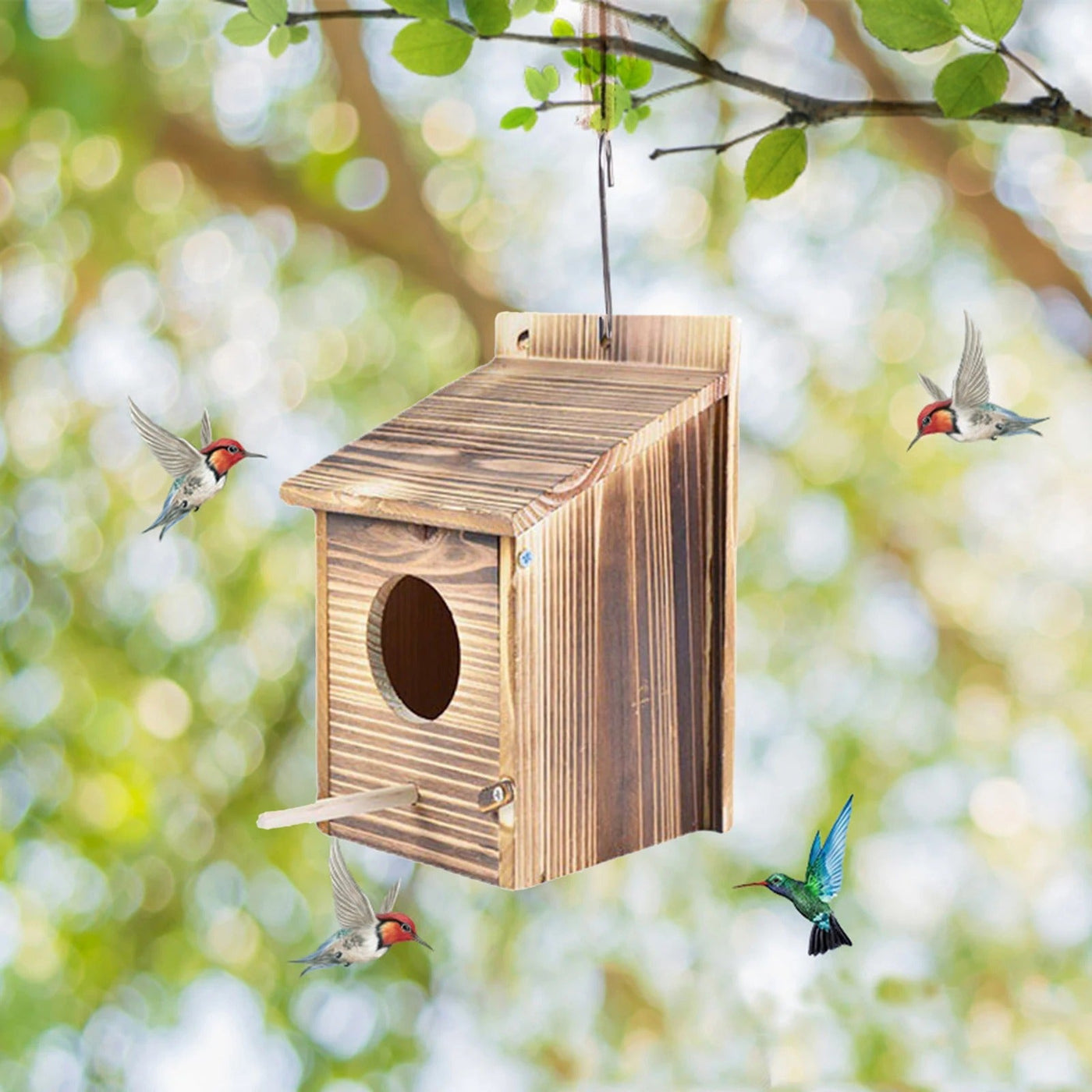 WoodHollow Nest - Wetterfestes Holz hängendes Vogelnest