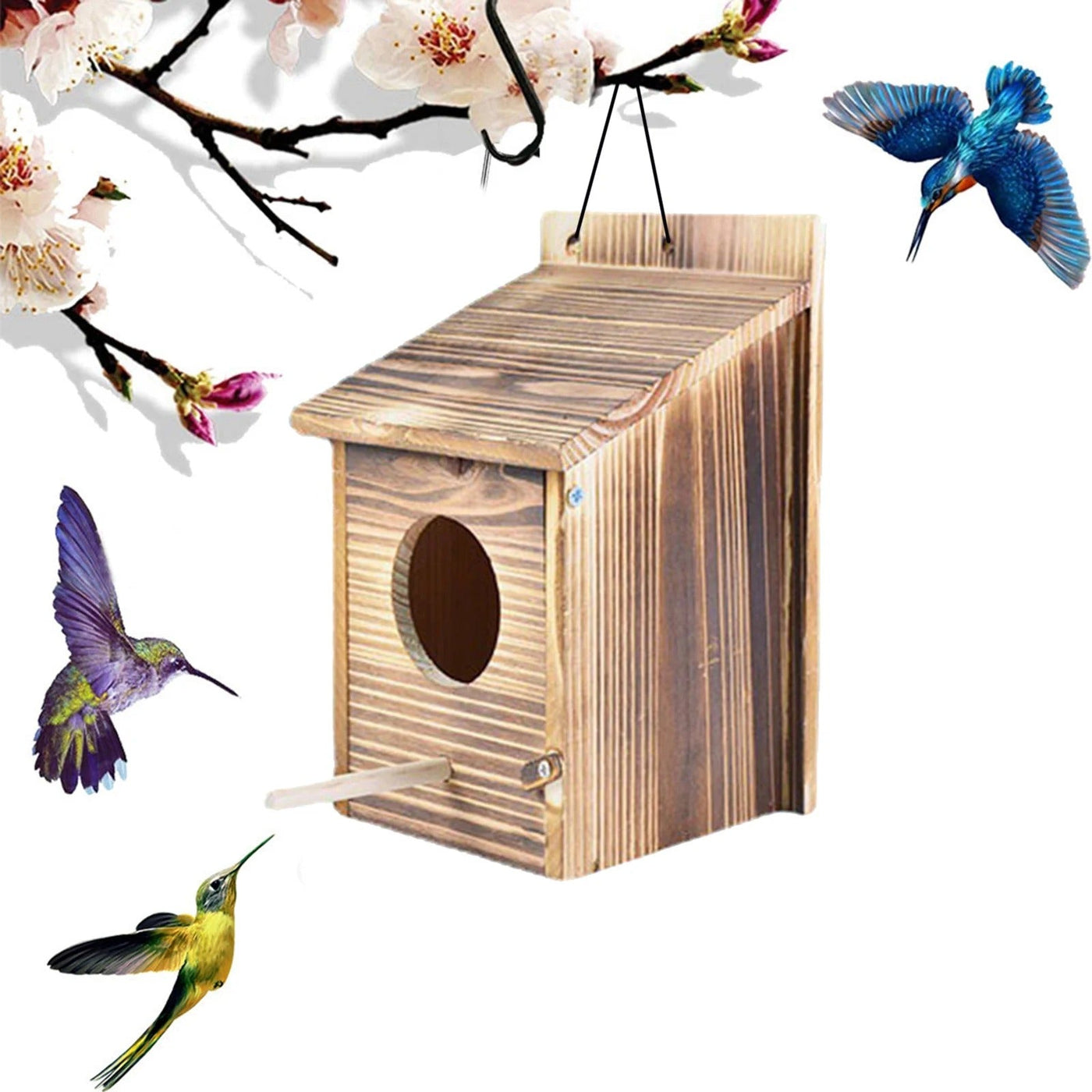 WoodHollow Nest - Wetterfestes Holz hängendes Vogelnest